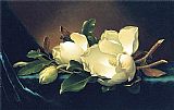 Two Magnolias and a Bud on Teal Velvet by Martin Johnson Heade